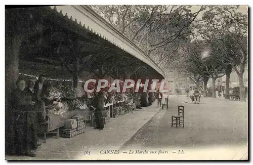 Cartes postales Cannes Le Marche aux Fleurs