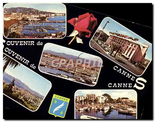 Cartes postales moderne Cannes Souvenir De Cannes