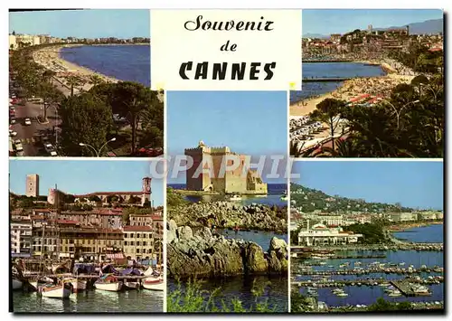 Cartes postales moderne Cannes Souvenir De Cannes