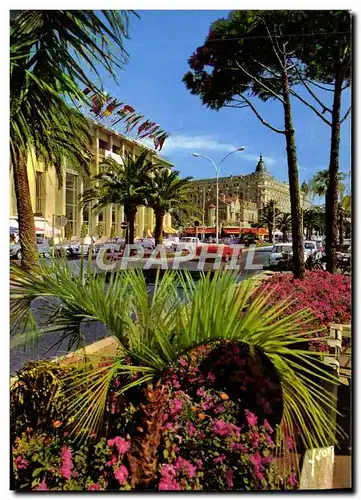 Cartes postales moderne Cannes La Croisette le Palais du Festival