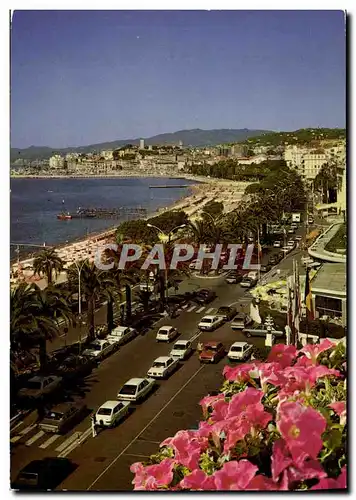 Cartes postales moderne Cannes La Promenade de la Croisette Dans le Fond le Suquet