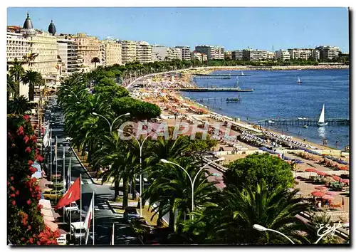 Cartes postales moderne Cannes Les Palaces et la Plage de la Croisette