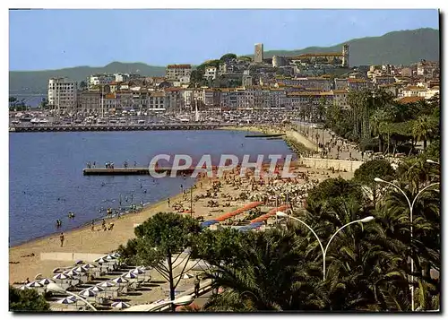 Cartes postales moderne Cannes Une Partie de la Nouvelle Plage le Quai St Pierre et le Suquet