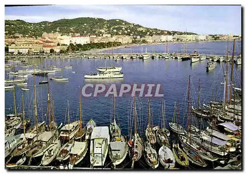 Cartes postales moderne Cannes Un Coin Du Port Dans le Fond la promenade de la Croisette