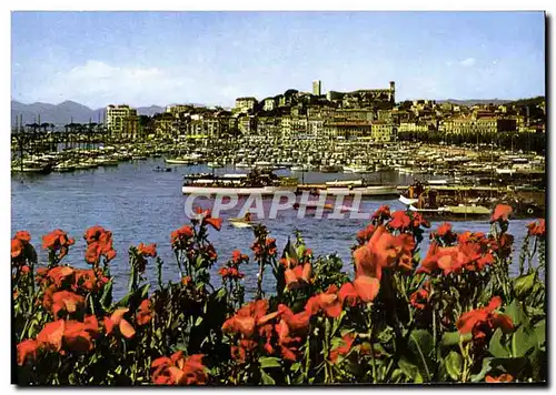 Cartes postales moderne Cannes Vue Generale Sur Le Suquet et un Coin du port