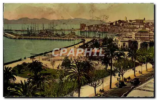 Cartes postales Cannes Vue sur le port