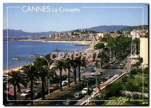 Cartes postales moderne Cannes La Croisette