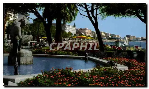 Cartes postales moderne Cannes Les jardins et les hotels