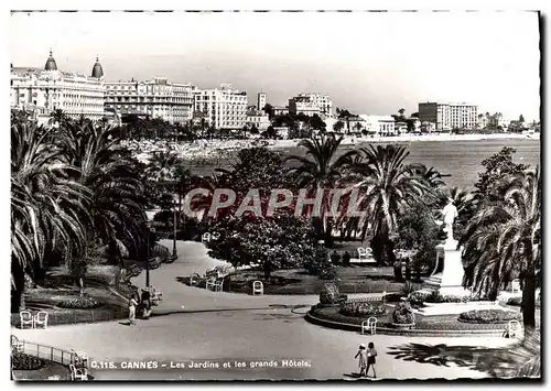 Cartes postales Cannes Cote D&#39Azur Les jardins et les grands hotels