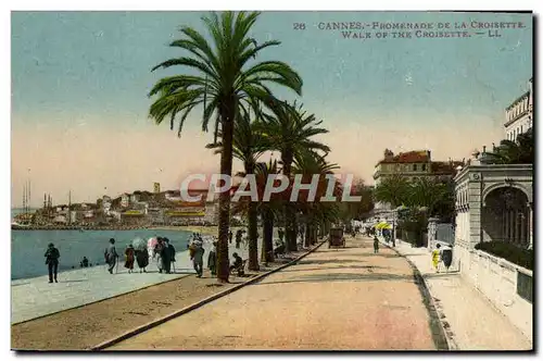 Cartes postales Cannes Promenade De La Croisette