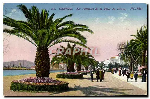 Ansichtskarte AK Cannes Les Palmiers de la Place Du Casino