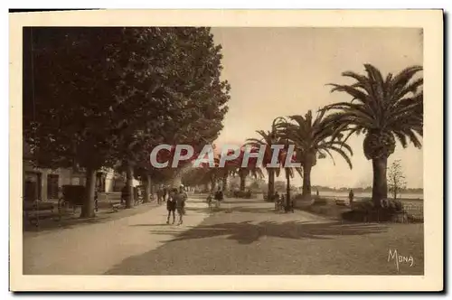 Cartes postales Cannes Promenade De La Croisette