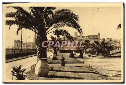 Cartes postales Cannes Les Jardins