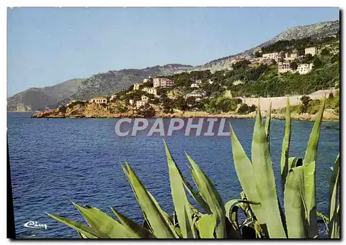 Cartes postales moderne Cap d&#39Ail Vue generale Le Cap Rognose