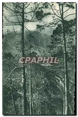 Cartes postales Vallon de Gorbio