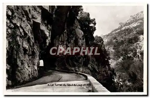 Cartes postales moderne Le Tunnel du Saut du Loup