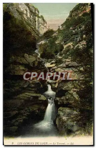 Cartes postales Les Gorges du Loup Le Torrent