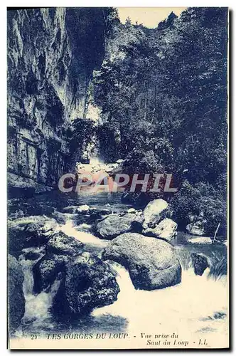 Cartes postales Les Gorges du Loup Vue prise du Saut au Loup