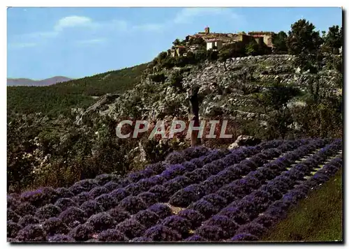 Cartes postales moderne Gourdon Champ de Lavande et vieux Village