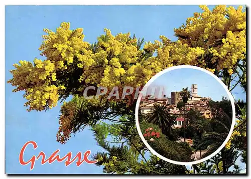 Cartes postales moderne Grasse Cite des fleurs