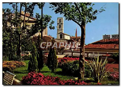 Cartes postales moderne Grasse Les Jardins du cours et la Cathedrale