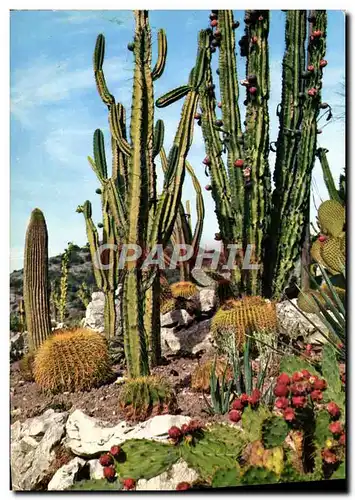 Cartes postales moderne Eze Village Le Jardin exotique