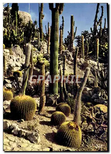 Cartes postales moderne Eze Village Le Jardin Exotique Cactus