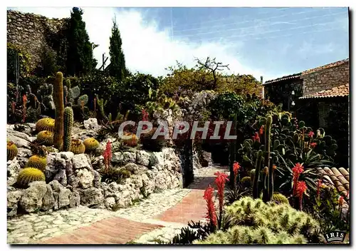 Cartes postales moderne Eze Village Le Jardin Exotique Cactus