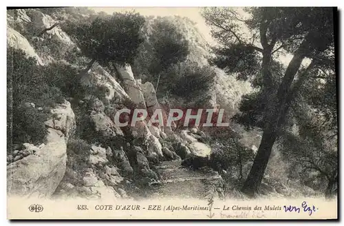 Cartes postales Eze Le Chemin des Mulets