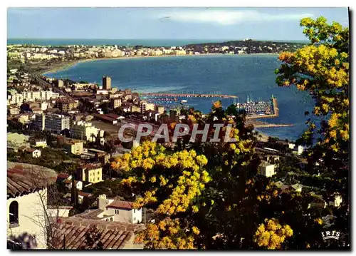 Cartes postales Golfe Juan Vue generale