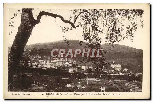 Cartes postales Grasse Vue generale entre les Oliviers