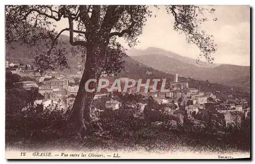 Cartes postales Grasse Vue entre les Oliviers