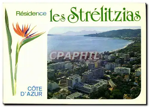 Cartes postales moderne Residence les Strelitzias Rue Pauline Juan les Pins