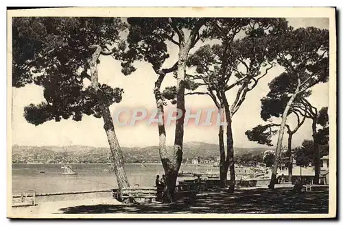 Cartes postales Juan les Pins Vue sur le Golfe Juan depuis la Pinede