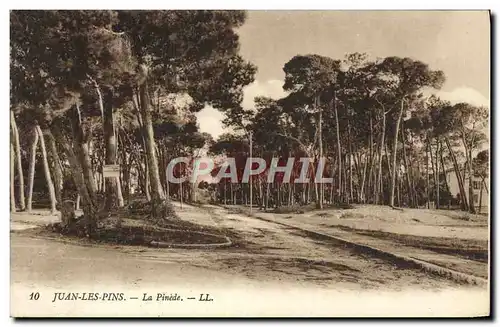 Cartes postales Juan les Pins La Pinede