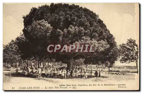 Ansichtskarte AK Juan les Pins Le Gros Pin Parasol Enfants