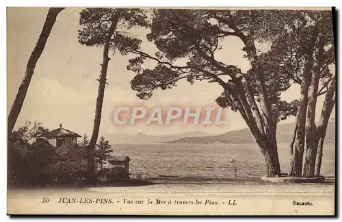 Cartes postales Juan les Pins Vue sur la Mer a travers les Pins