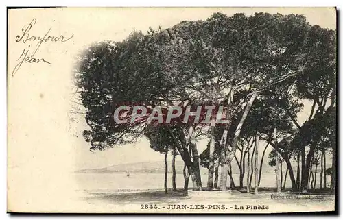 Cartes postales Juan les Pins La Pinede