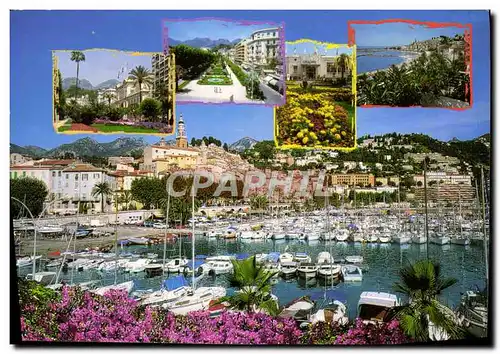 Cartes postales moderne Menton Cote D&#39Azur Souvenir de Menton