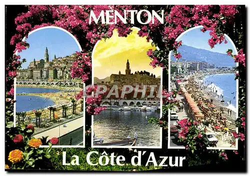 Cartes postales moderne Menton