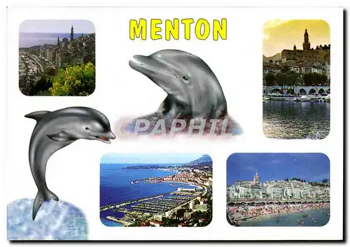 Cartes postales moderne Menton Cote d&#39Azur Dauphin