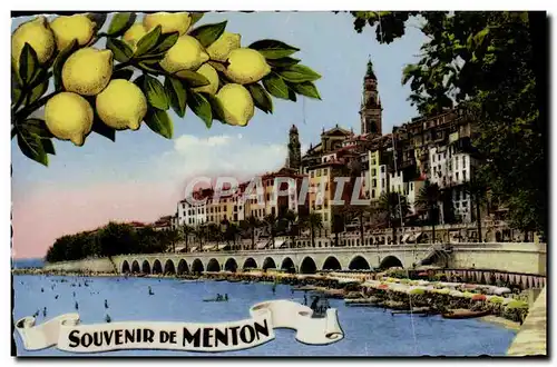 Cartes postales moderne Menton Souvenir De Menton Citrons