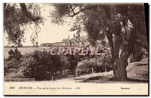 Cartes postales Menton Vue Prise Entre les Oliviers