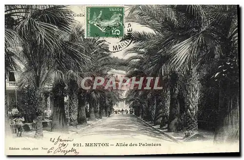 Ansichtskarte AK Menton Allee Des Palmiers