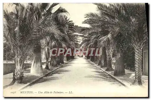 Cartes postales Menton Une Allee De Palmiers