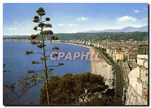 Cartes postales moderne Nice Vue Generale Rete Prise Du Chateau