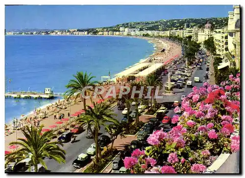 Cartes postales moderne Nice La Cote d&#39Azur La Promenade Des Anglais