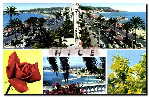 Cartes postales moderne Nice La Promenade des Anglais