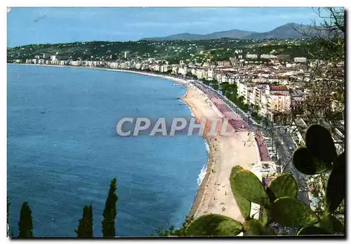 Cartes postales moderne Nice Cote D&#39Azur Vue Generale