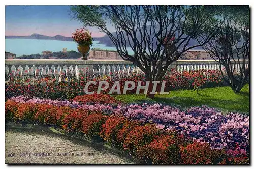 Cartes postales Nice Jardin fleuri